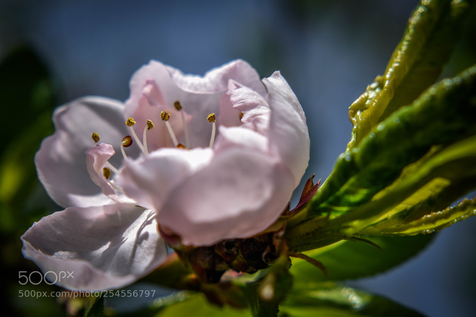 Nikon D5500 sample photo. F8 photography