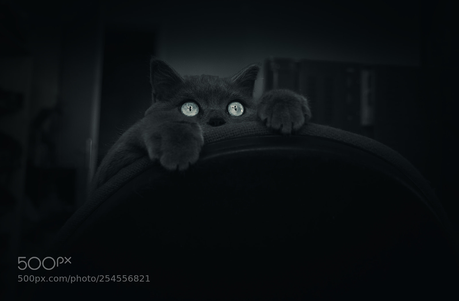 Canon EOS 7D Mark II sample photo. Cartoon photography