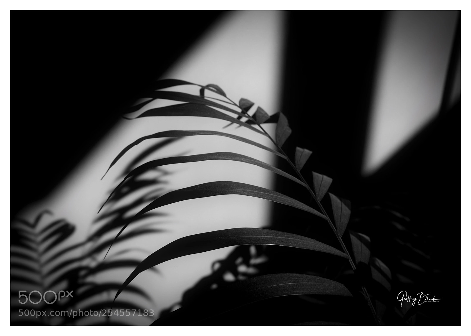 Fujifilm X-Pro2 sample photo. Shadows photography