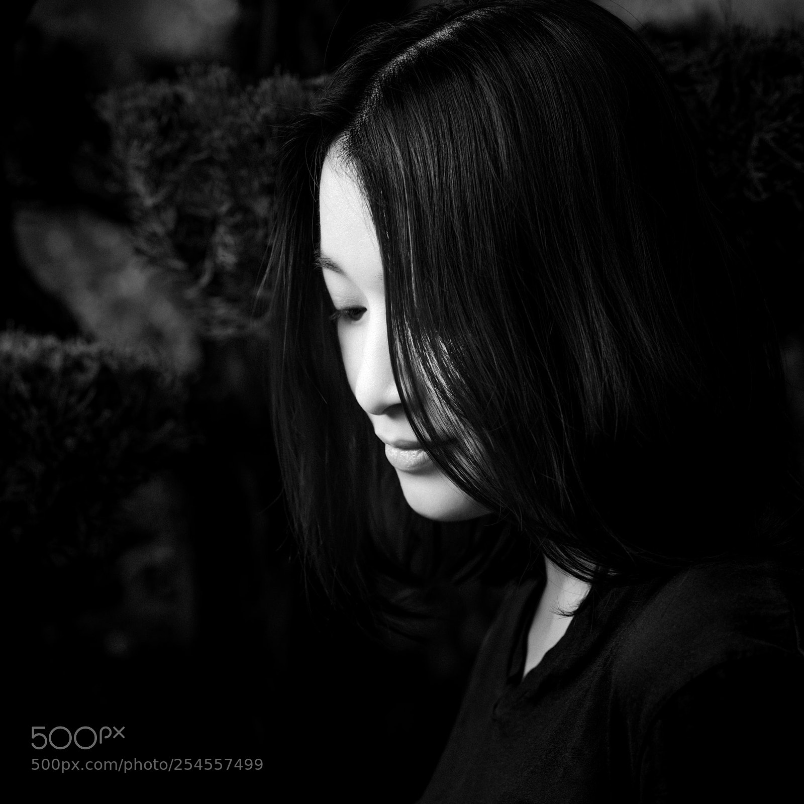 Fujifilm GFX 50S sample photo. Dans les pens photography