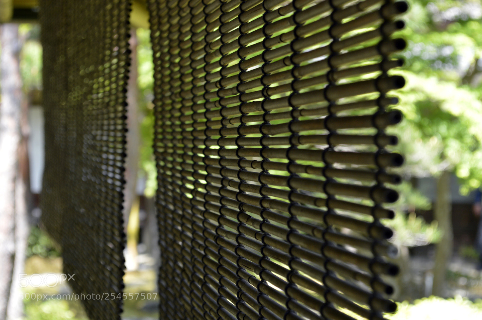 Nikon D3200 sample photo. Bamboo shade photography