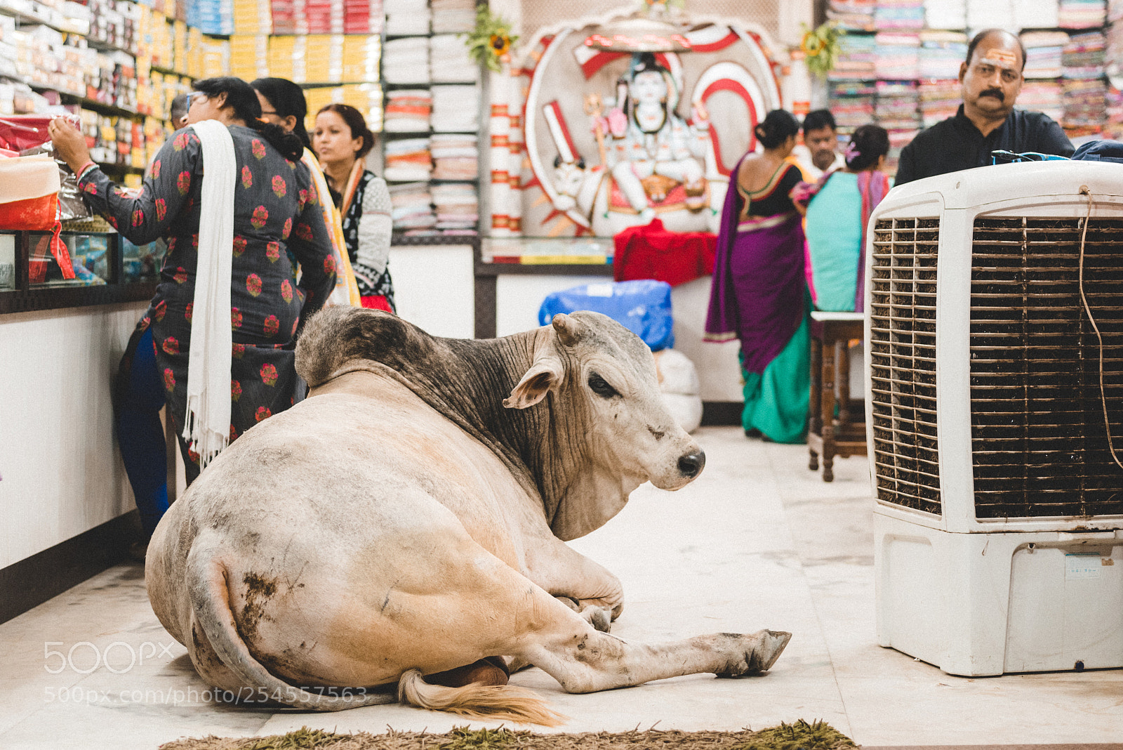 Nikon D810 sample photo. Chill time - b photography