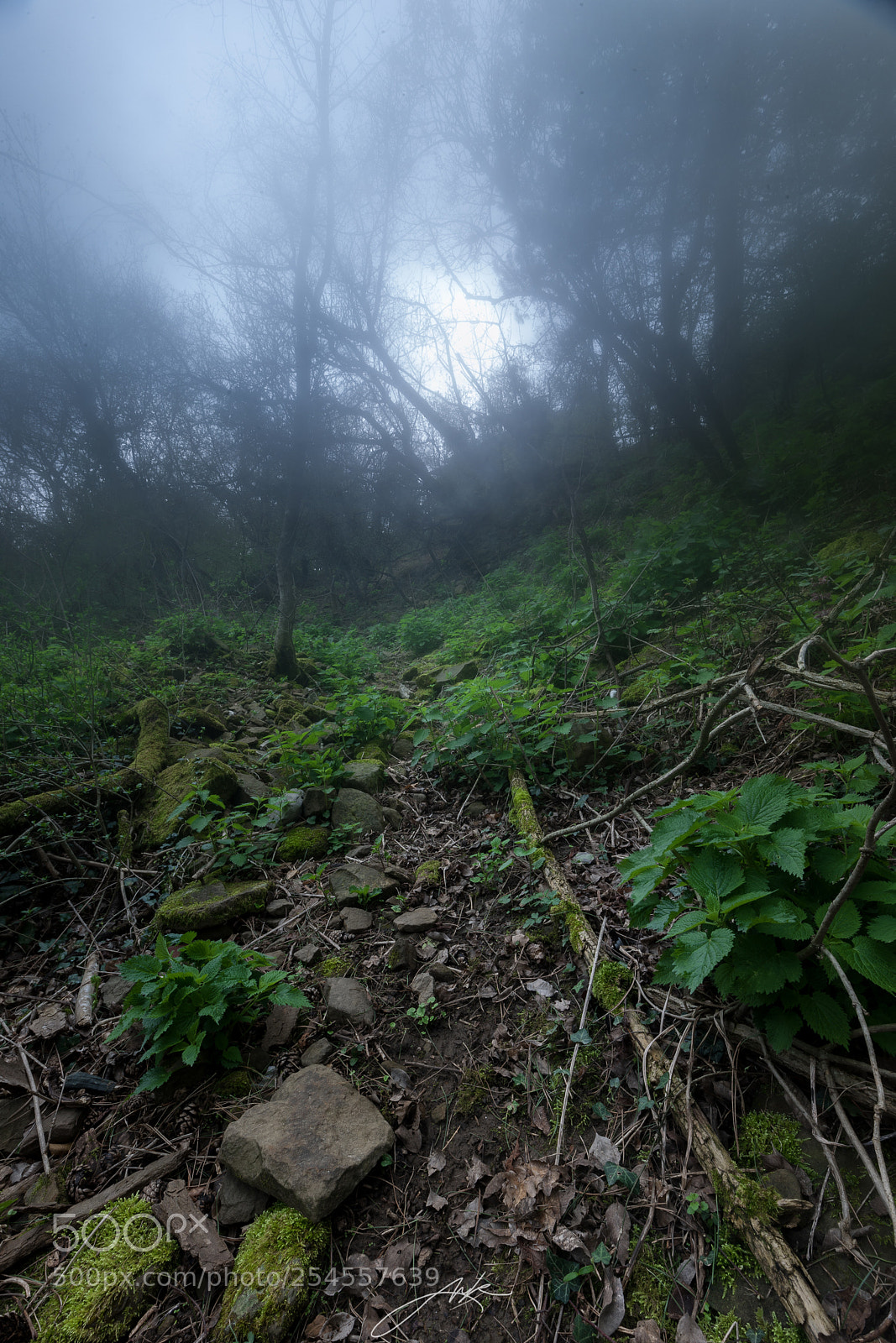 Canon EOS-1Ds Mark III sample photo. Mystisch landschaft photography