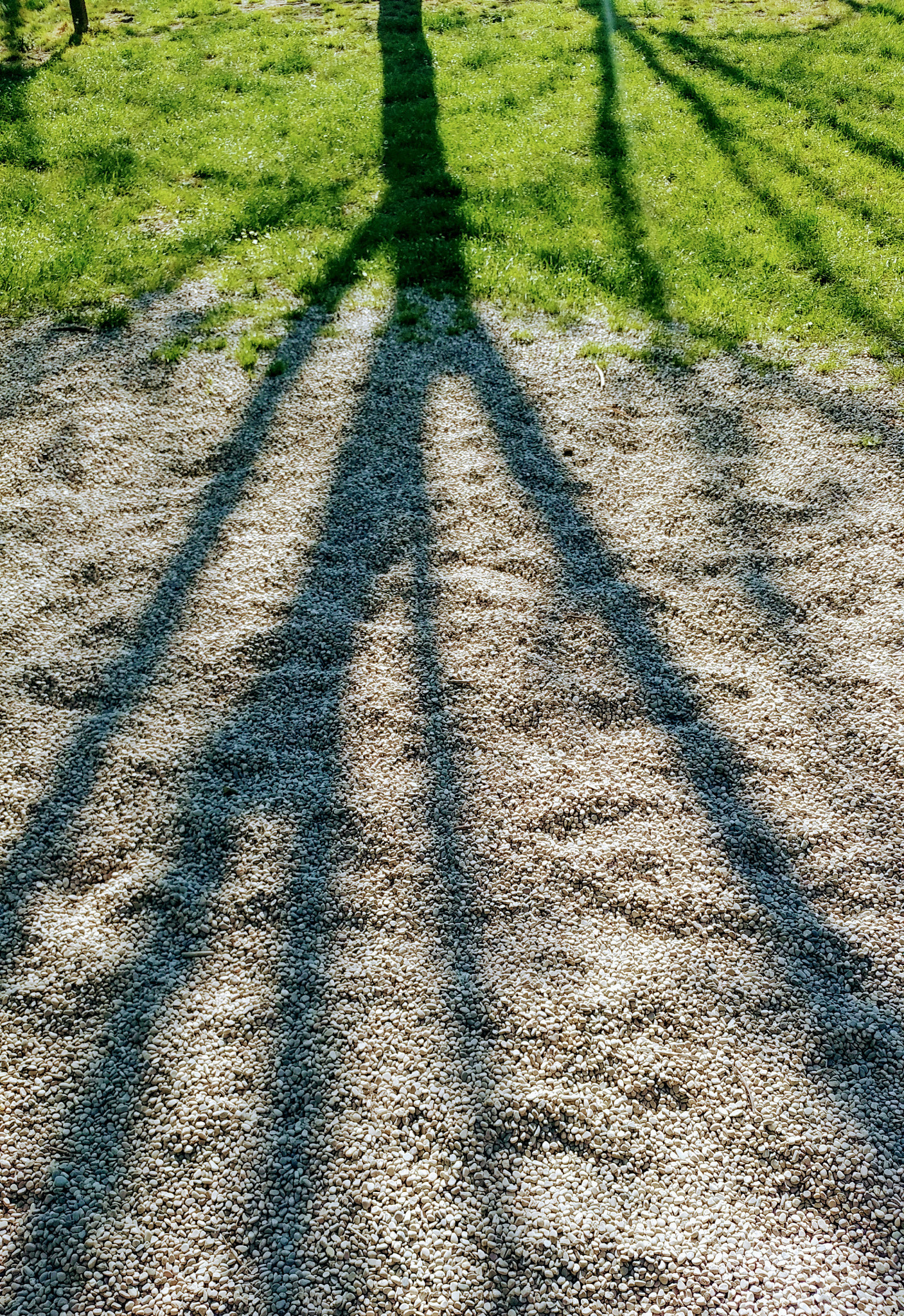LG G5 SE sample photo. Rovescio della medaglia photography