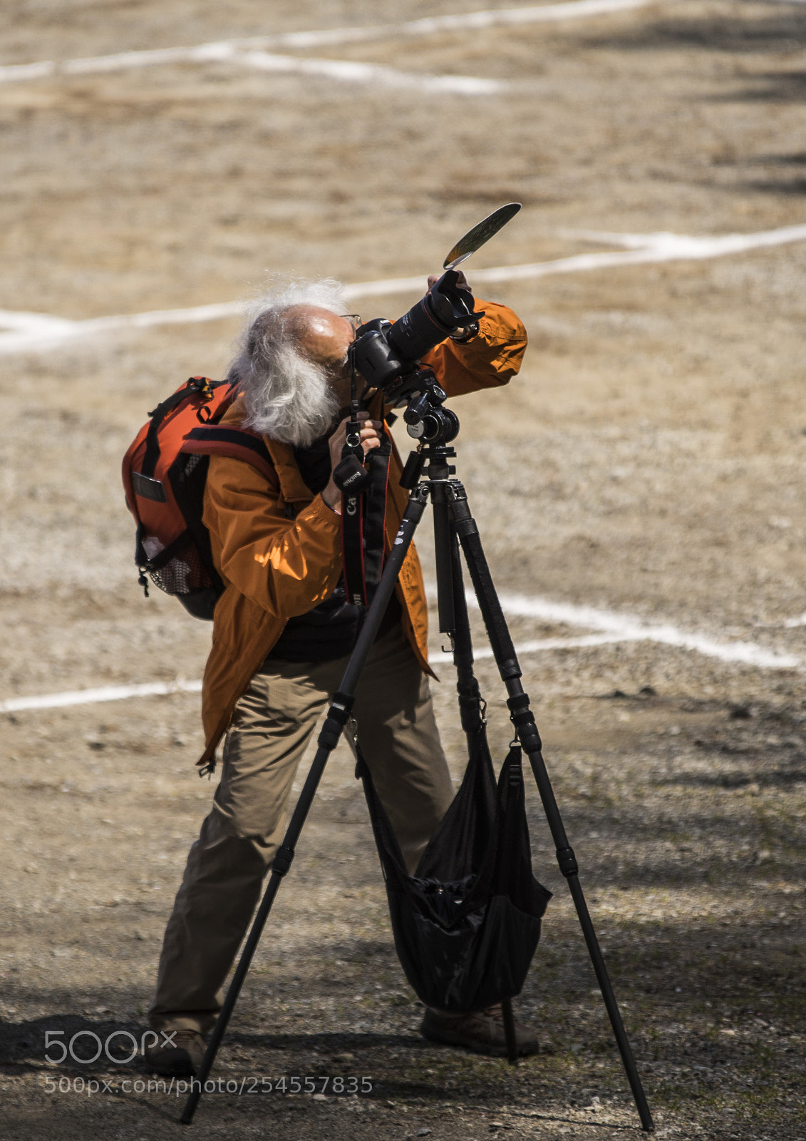 Sony a7R sample photo. Shooting photography