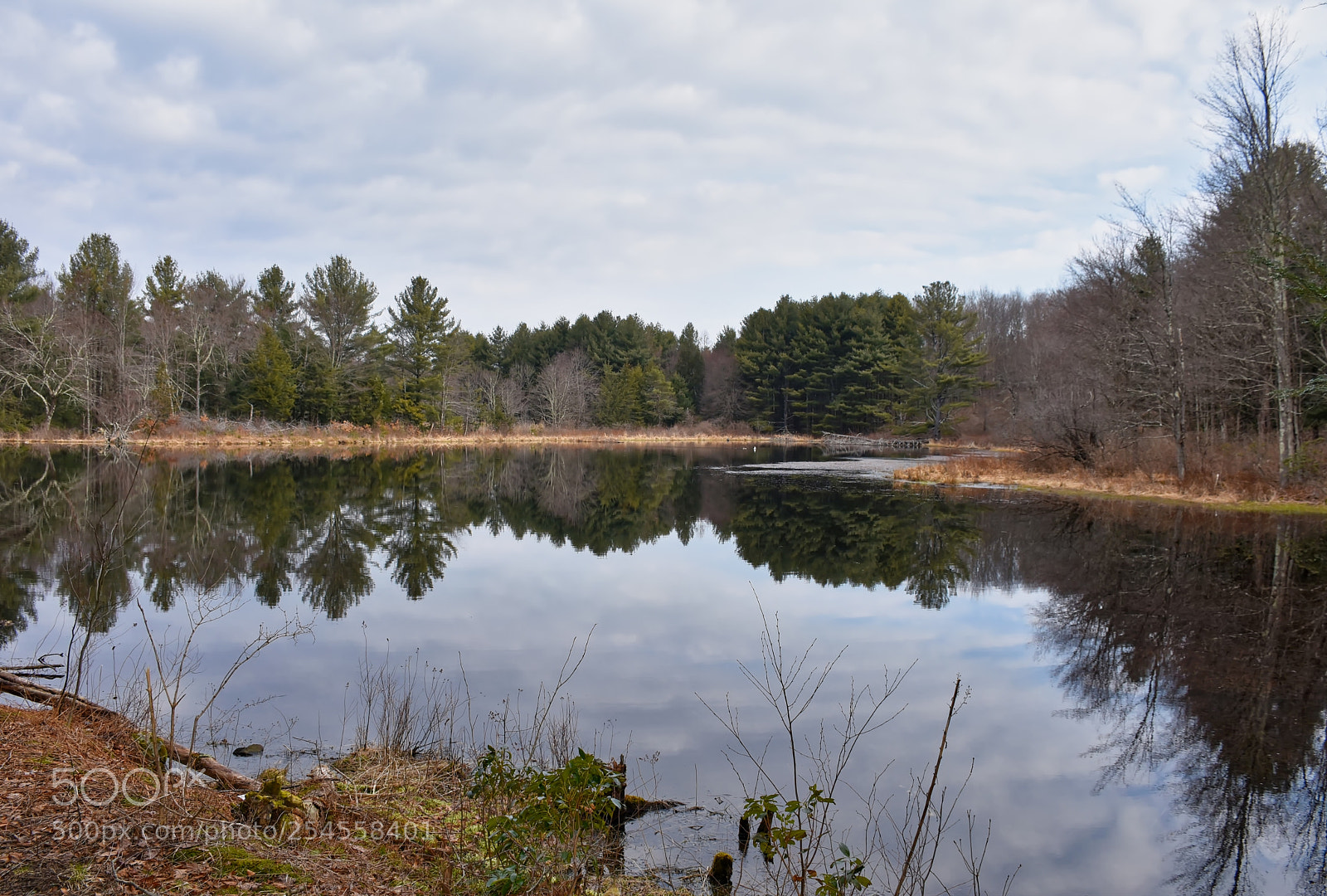 Nikon D7200 sample photo. Granniss pond photography