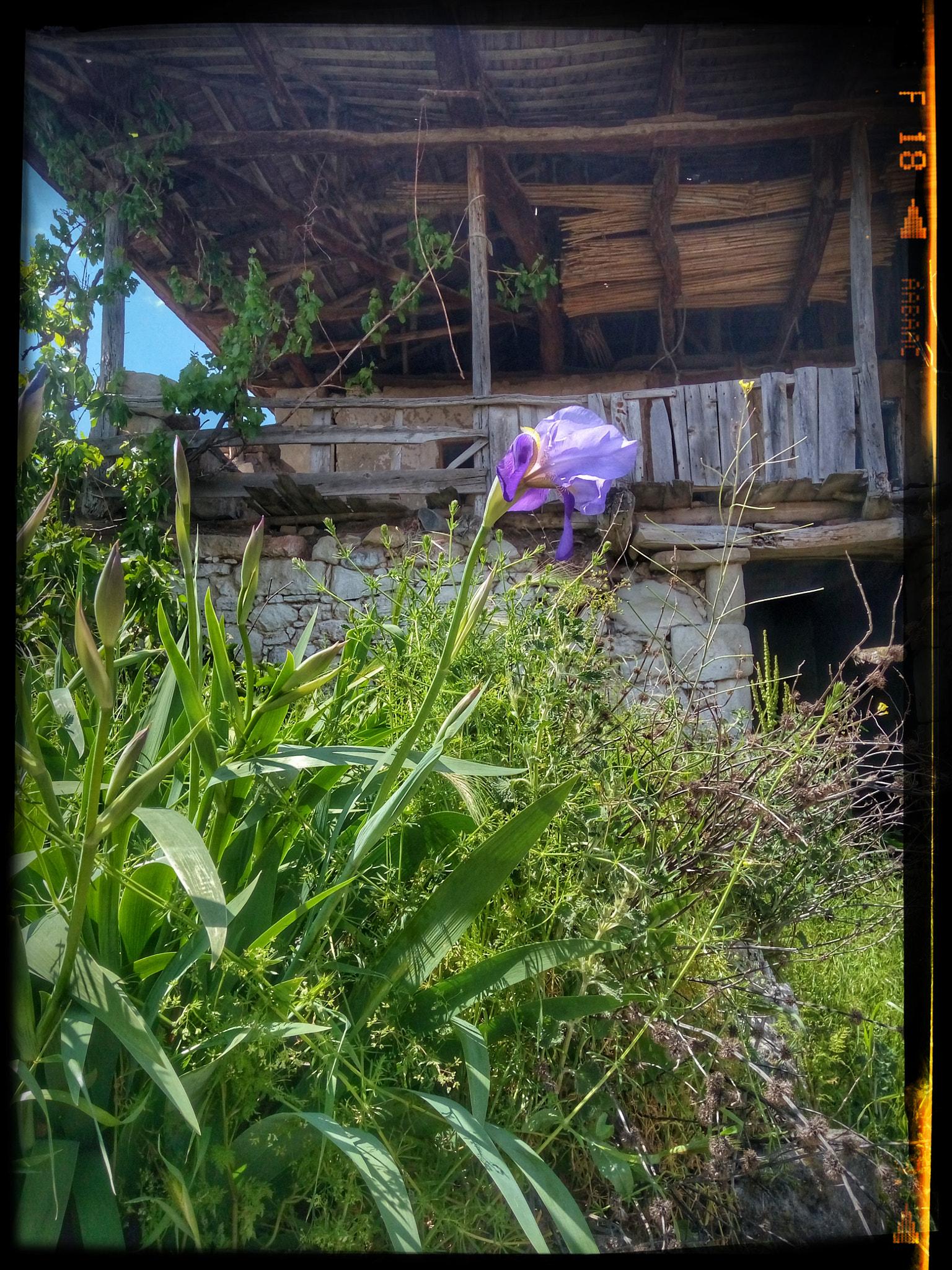 HTC DESIRE 728G DUAL SIM sample photo