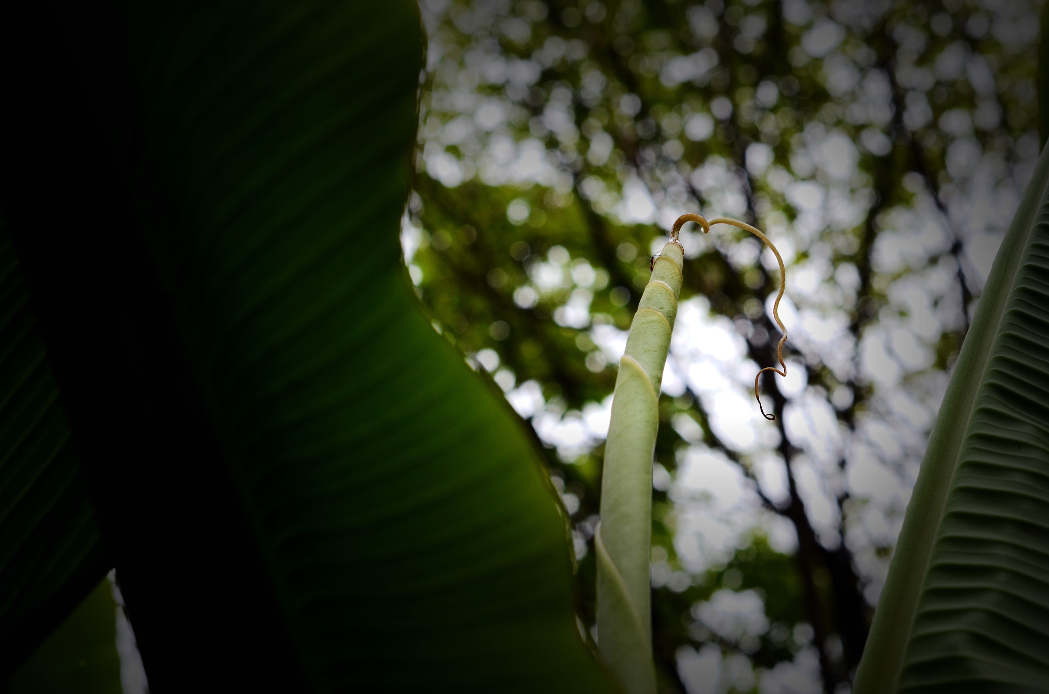 Nikon D7000 + Nikon AF-S Nikkor 50mm F1.4G sample photo. 蜿蜒 photography