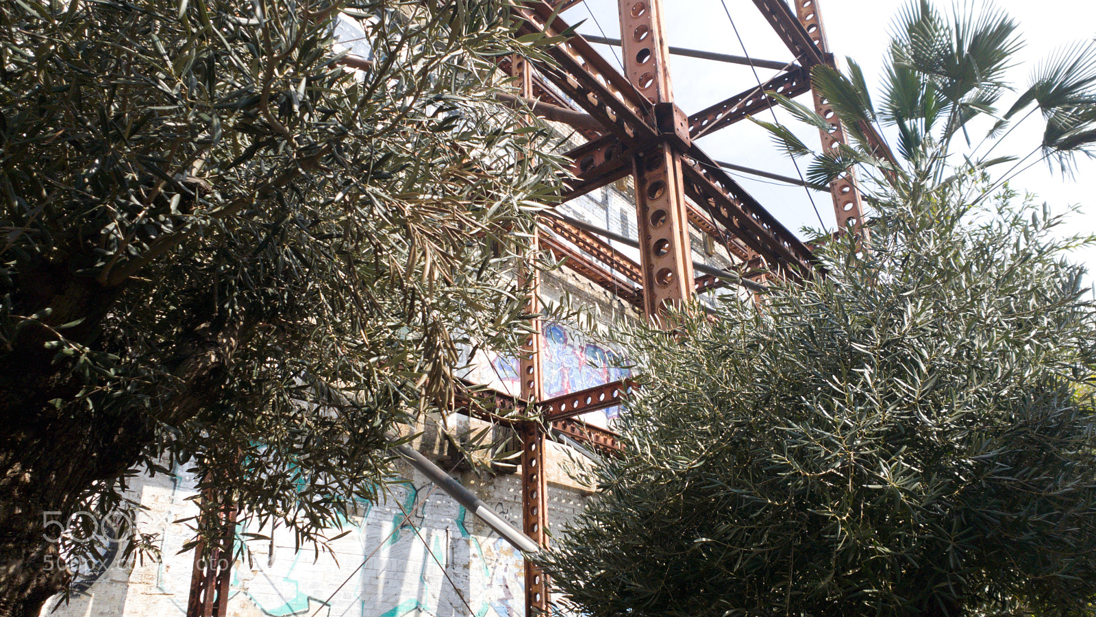 Samsung Galaxy S9 sample photo. Palm trees and steel photography