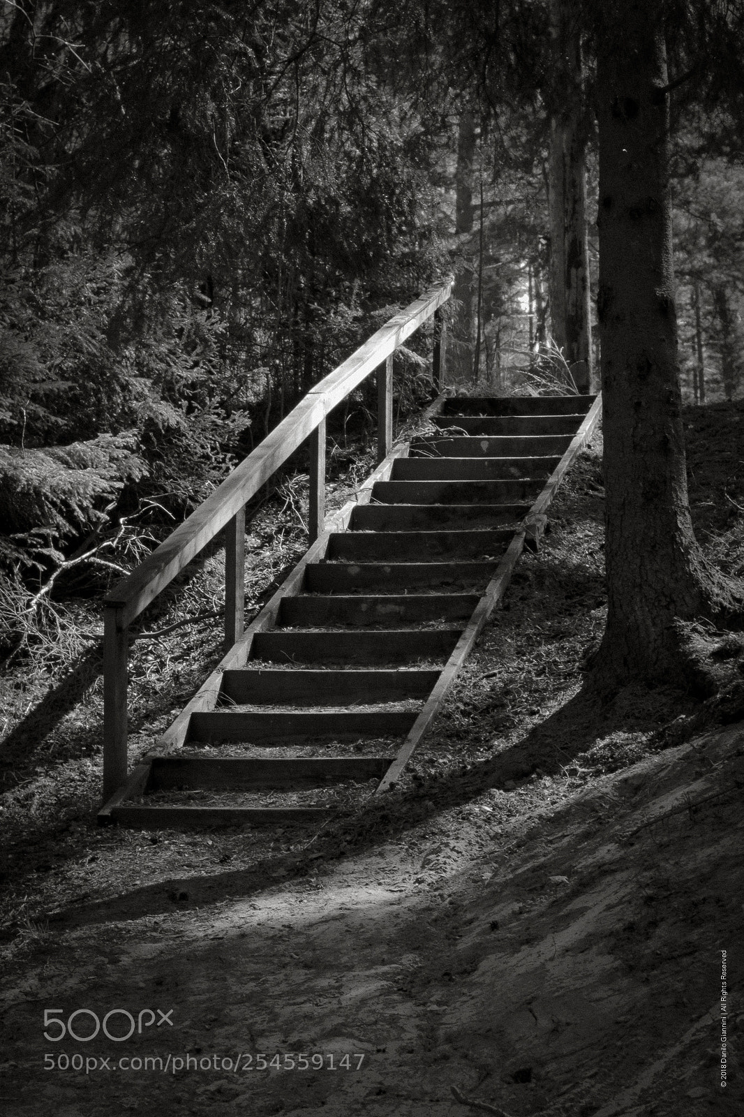 Fujifilm X-Pro1 sample photo. Stairs photography