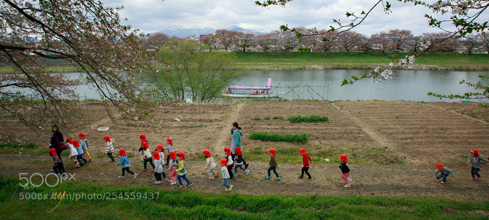 Canon EOS 5DS sample photo. Walking walking (^^♪ photography