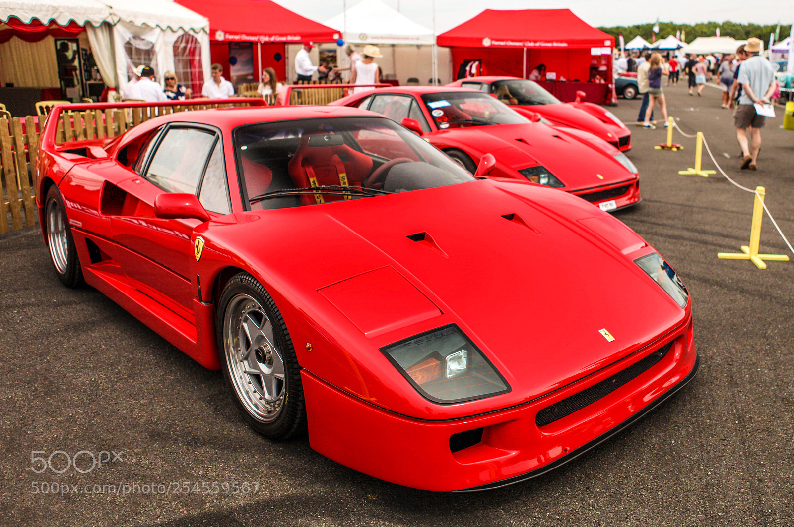 Canon EOS 5D Mark II sample photo. A sea of red photography