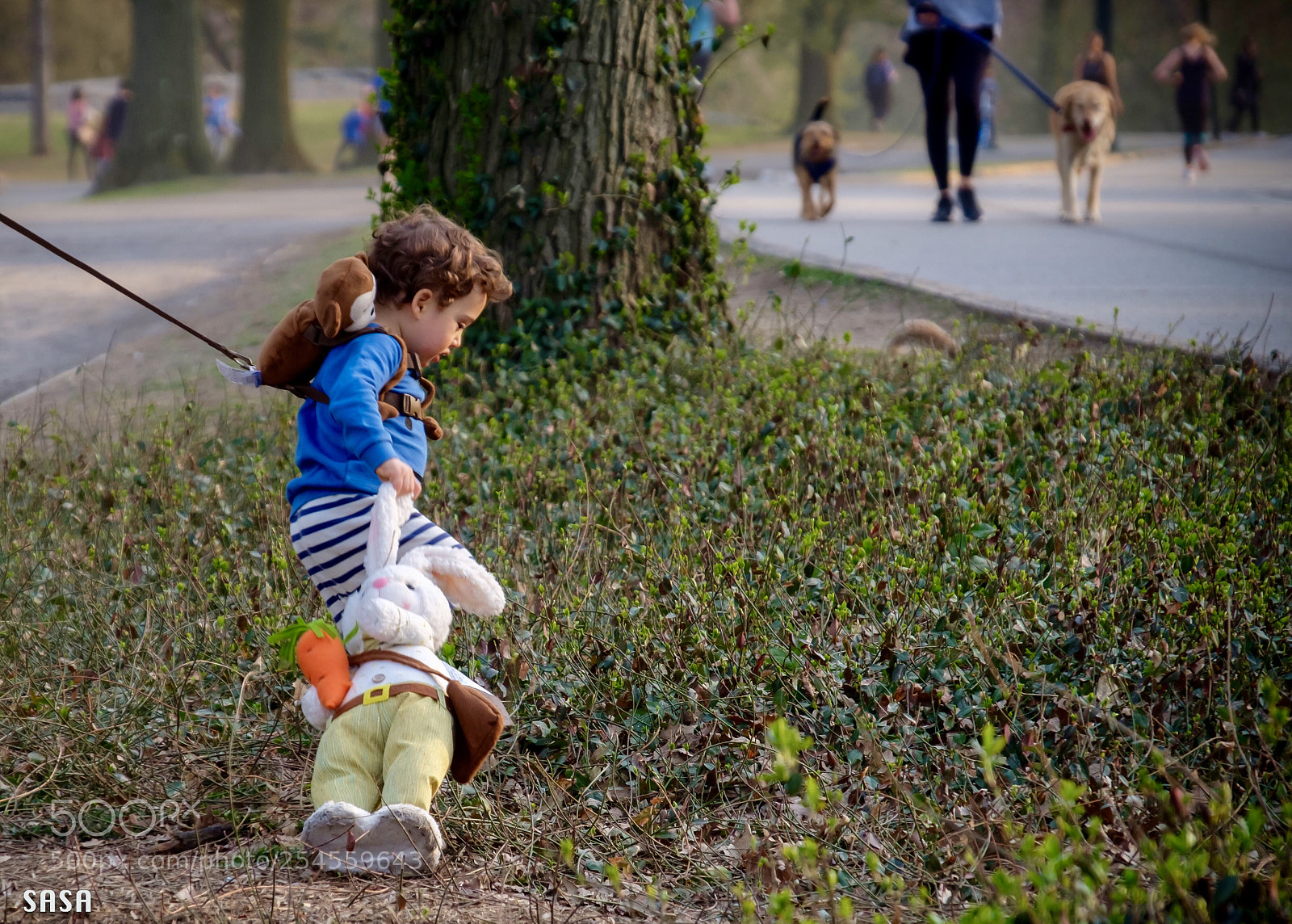 Fujifilm X-Pro2 sample photo. Leash photography