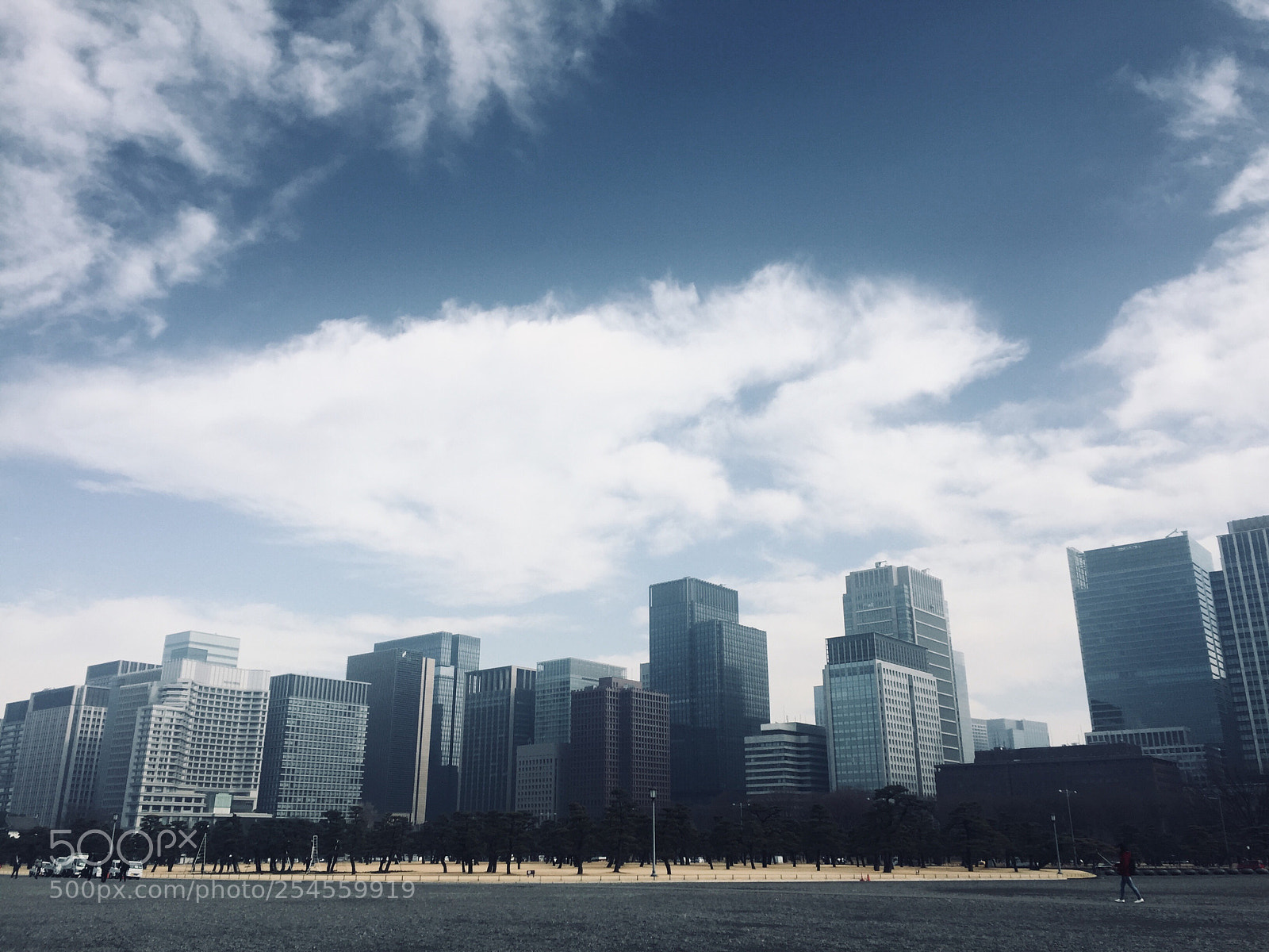 Apple iPhone 6 sample photo. Tokyo skyline photography