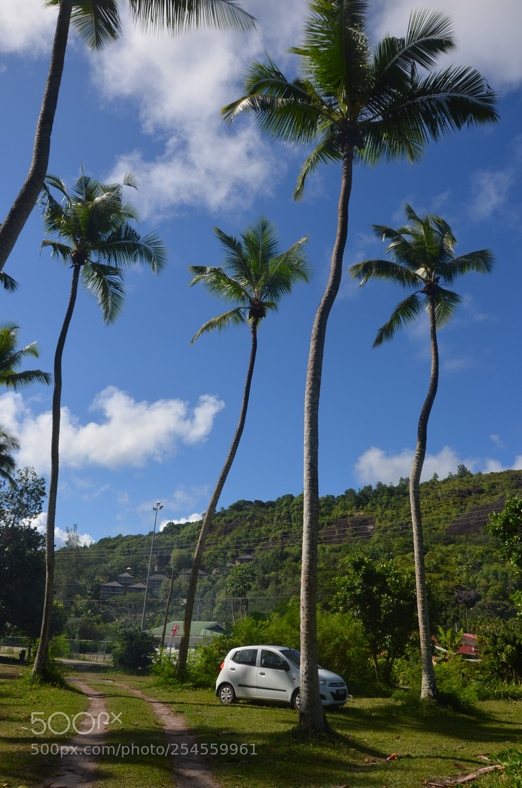 Nikon D5100 sample photo. Parking photography