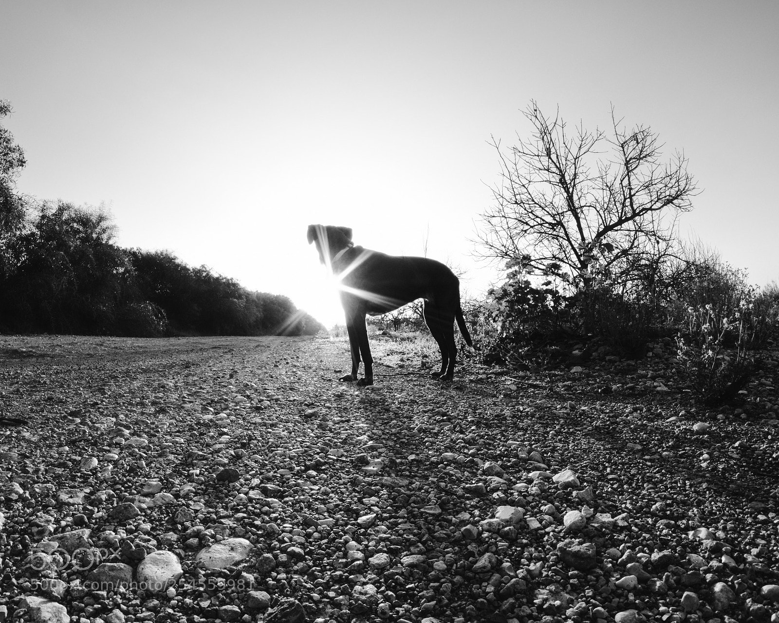 Fujifilm X-T2 sample photo. Mika photography