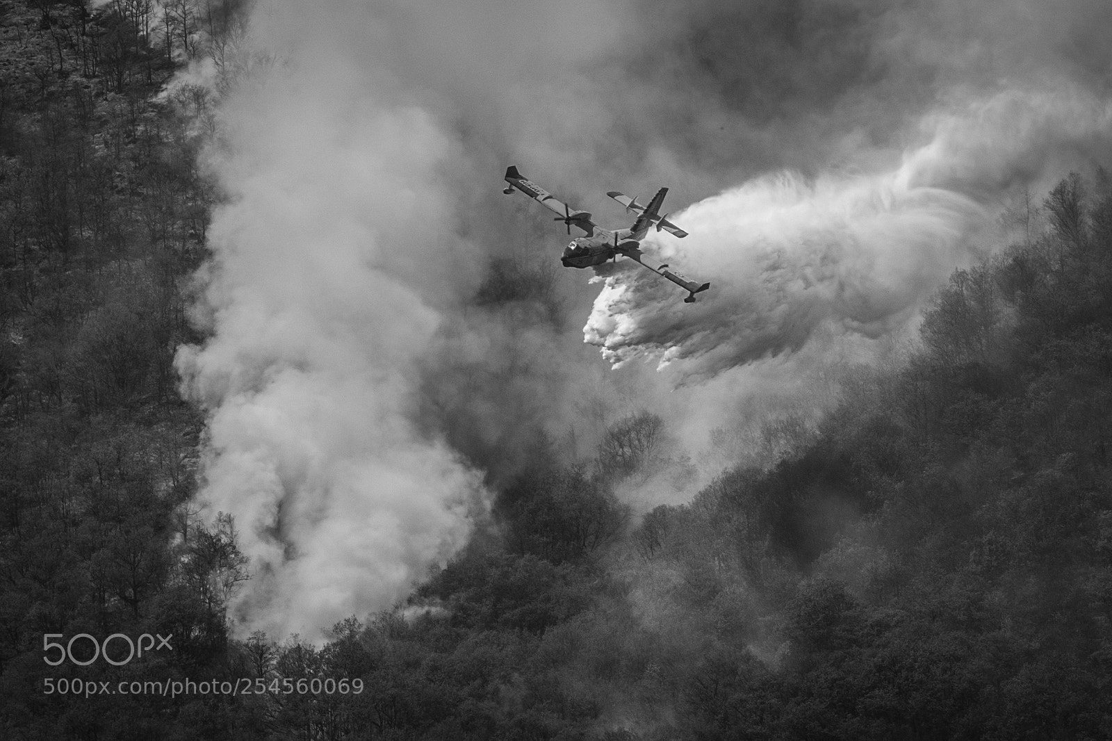 Nikon D7200 sample photo. Canadair at work photography
