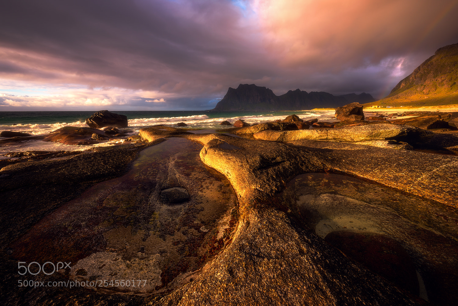 Nikon D810 sample photo. Golden drama at the photography