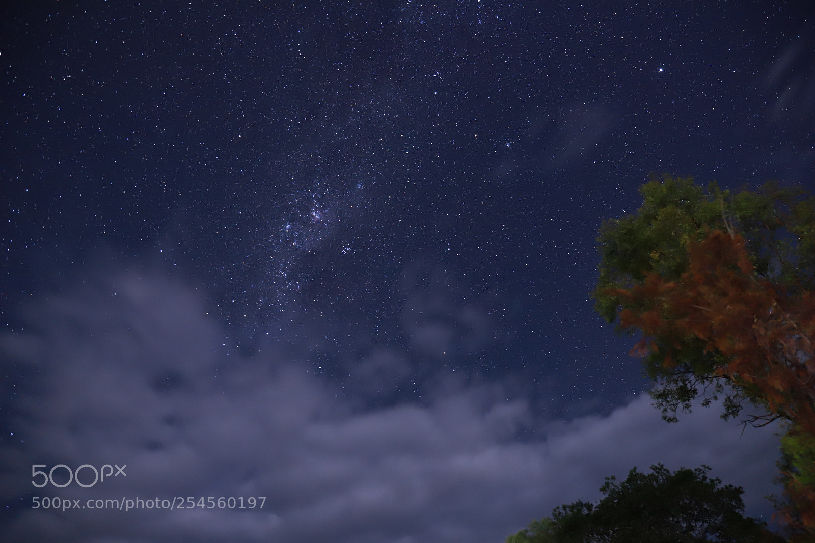 Canon EF 24-70mm F4L IS USM sample photo. Milky way photography