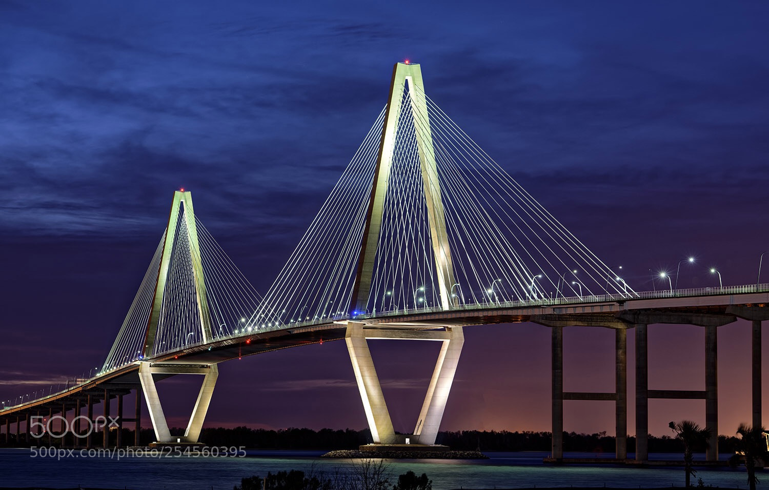 Nikon D850 sample photo. Ravenel bridge photography