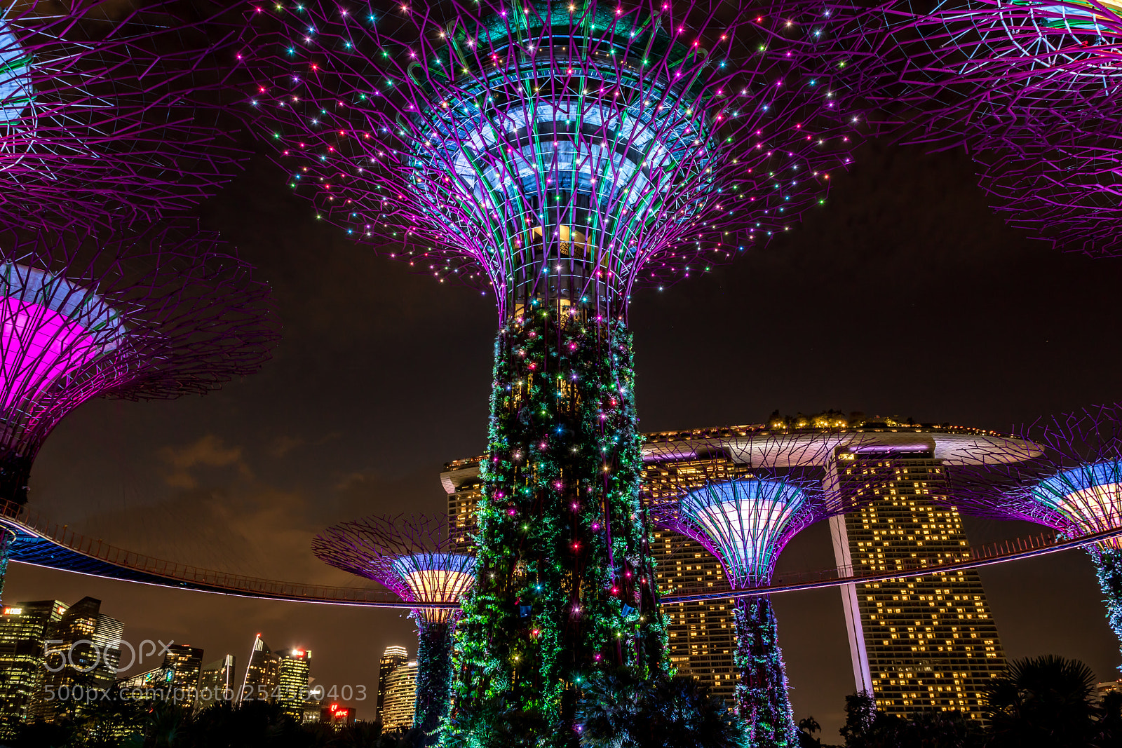 Canon EOS 750D (EOS Rebel T6i / EOS Kiss X8i) sample photo. Garden rhapsody at supertree photography