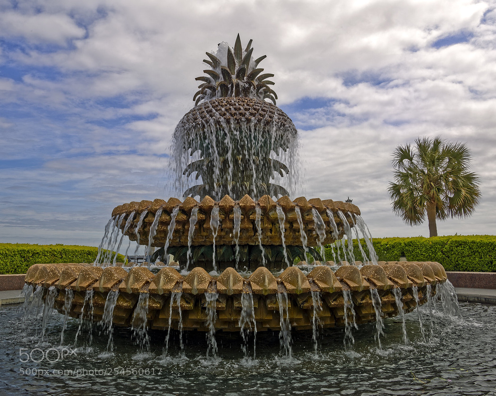 Nikon D850 sample photo. Pineapple fountain photography