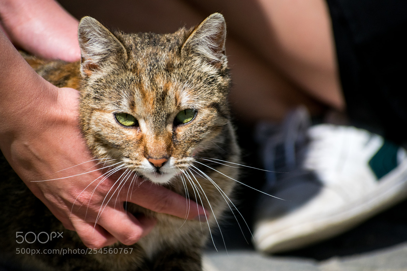 Nikon D3400 sample photo. Enough photography