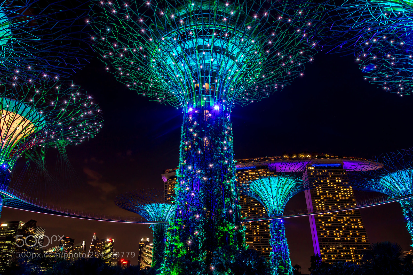 Canon EOS 750D (EOS Rebel T6i / EOS Kiss X8i) sample photo. Garden rhapsody at supertree photography