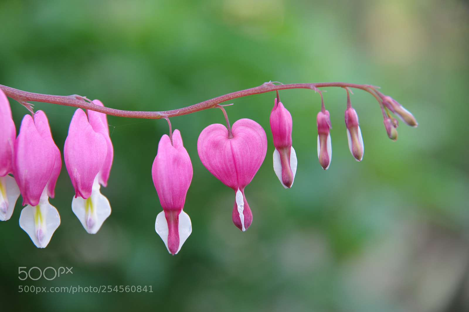 Pentax K-70 sample photo. Untitled photography