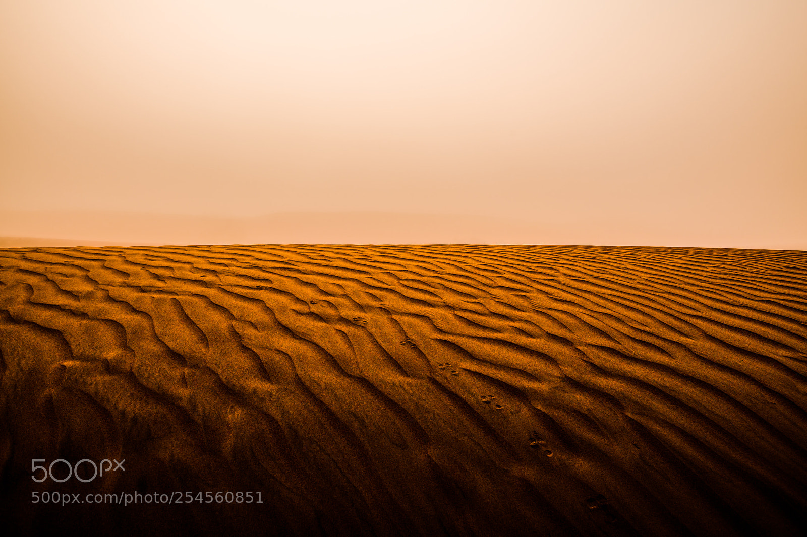Nikon D850 sample photo. Steps across desert landscape photography