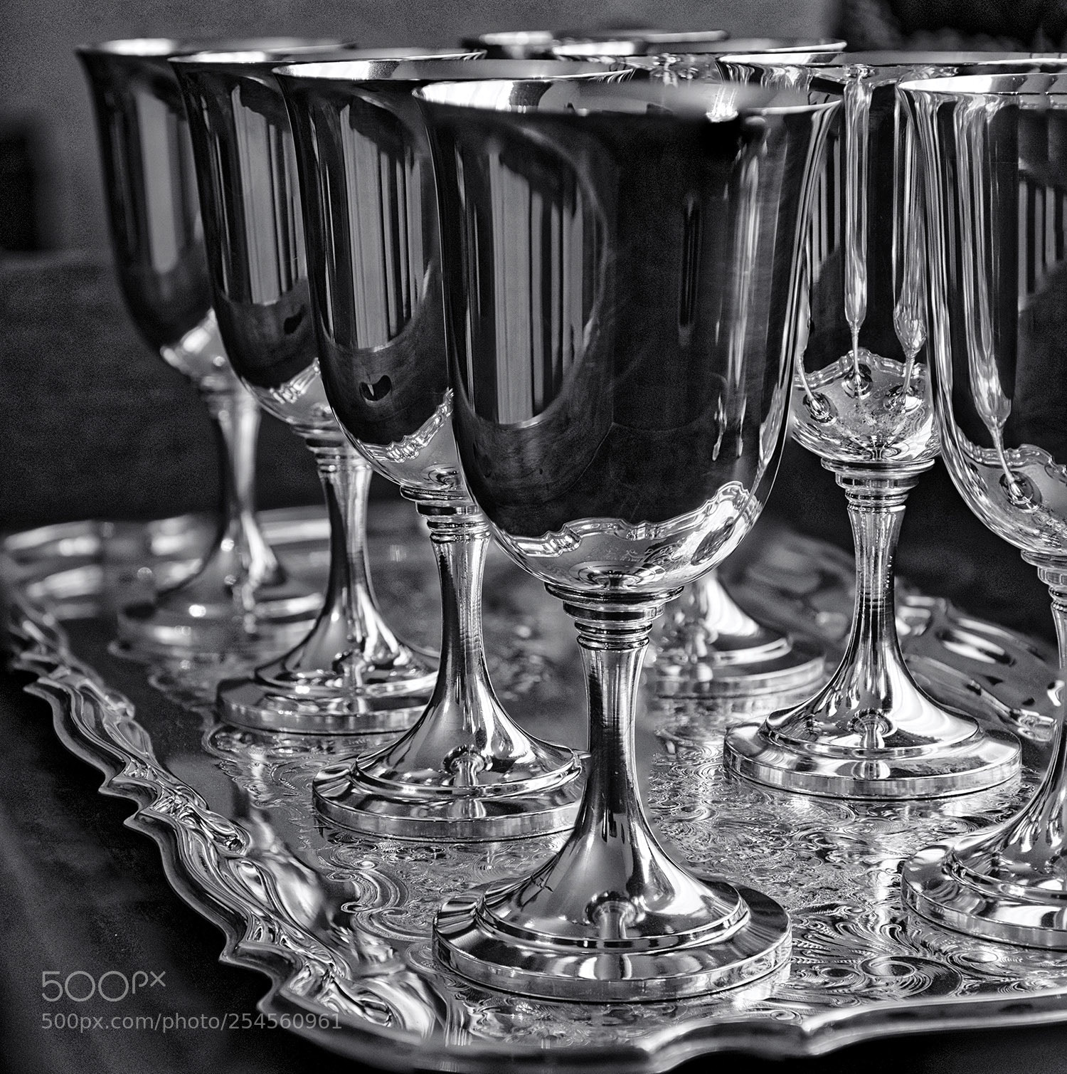 Nikon D850 sample photo. Silver goblets photography
