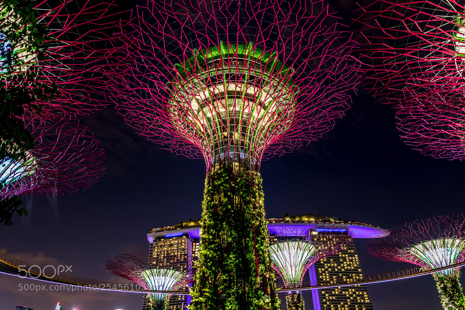 Canon EOS 750D (EOS Rebel T6i / EOS Kiss X8i) sample photo. Supertree grove at gardens photography