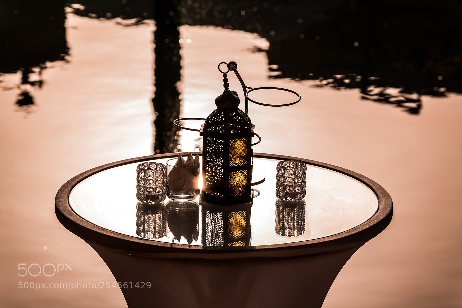 Nikon D850 sample photo. Sunlit water reflections mirrored photography