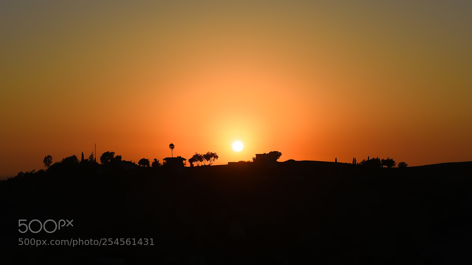Nikon D810 sample photo. Sunset over the horizon photography
