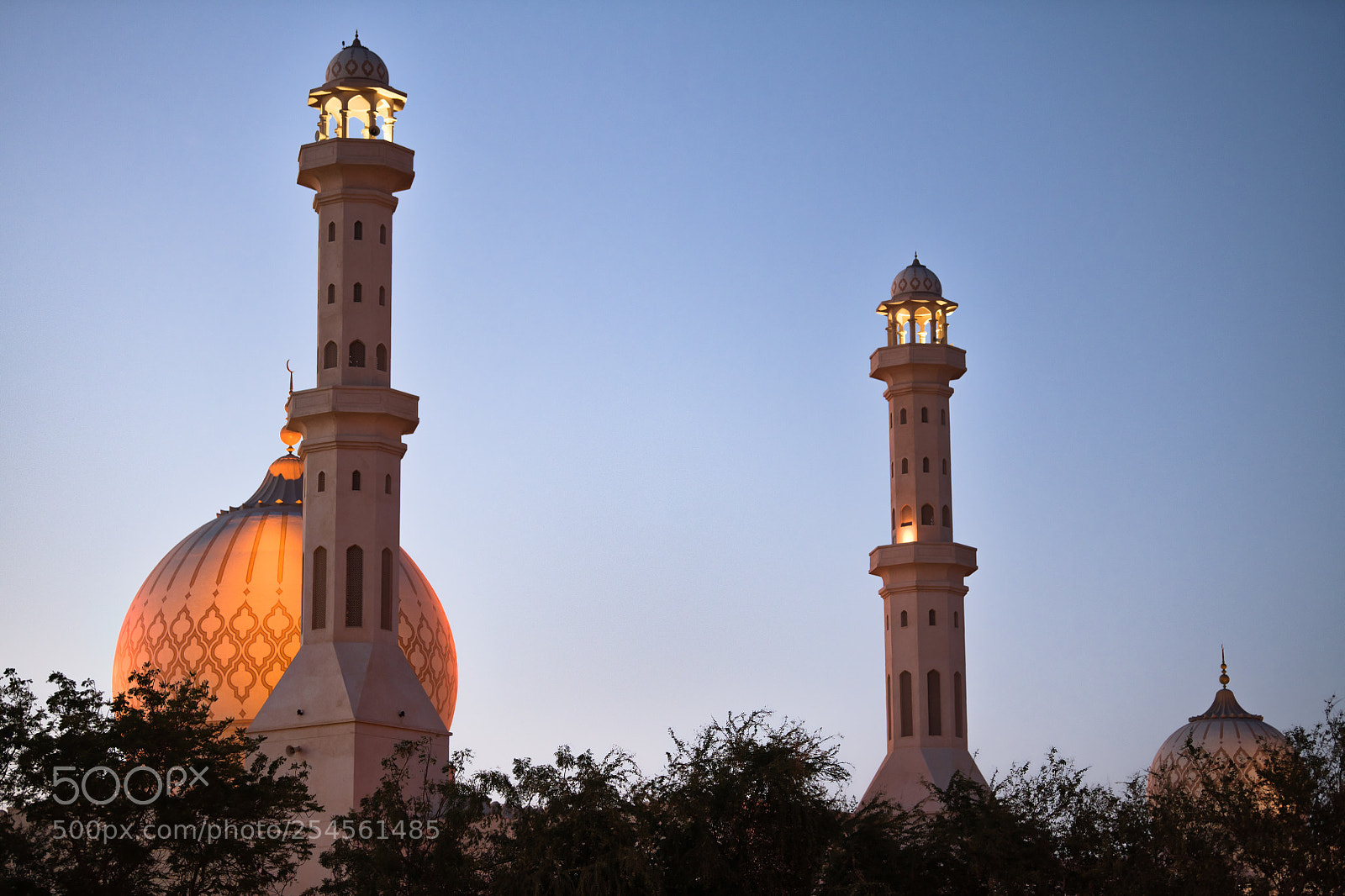 Nikon D850 sample photo. Sur oman mosque night photography