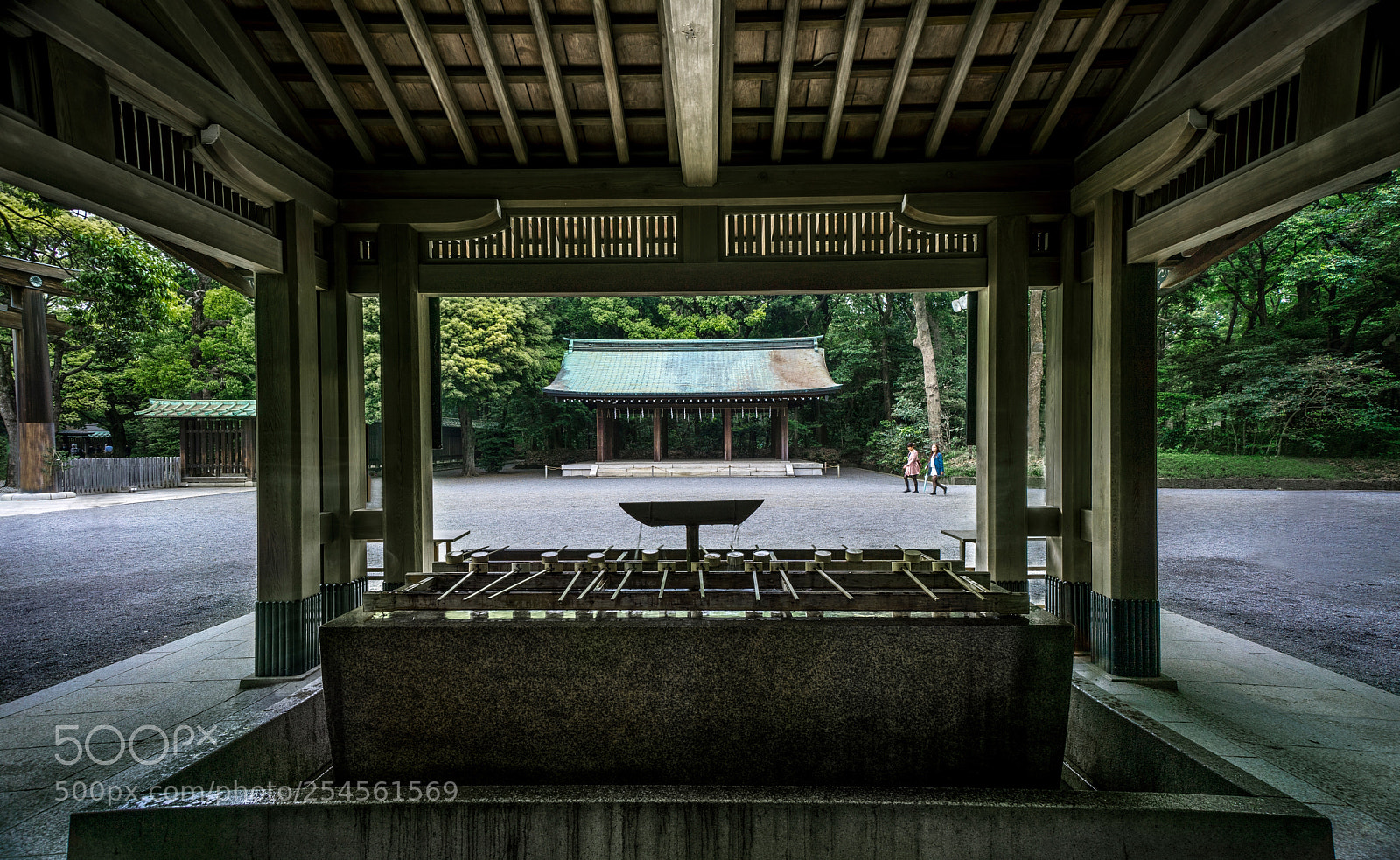 Sony a7R sample photo. Meiji shrine photography