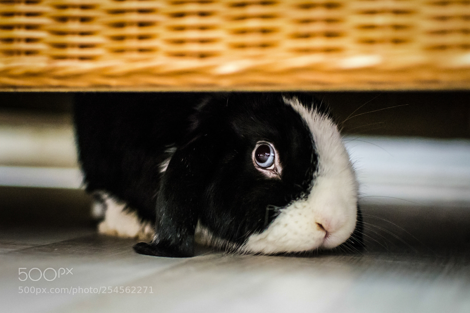 Nikon D7100 sample photo. Find you photography