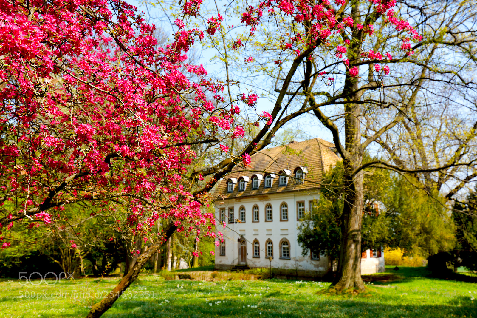 Canon EOS 5DS sample photo. Spring photography