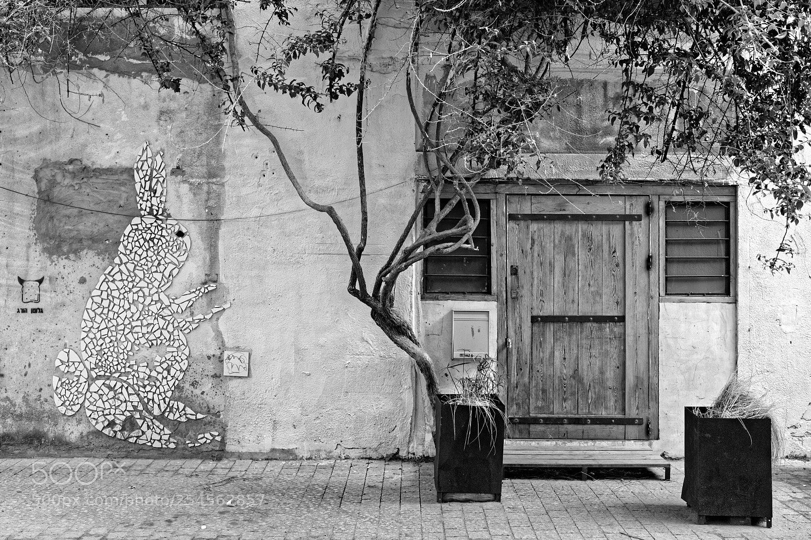Fujifilm X100F sample photo. Rabbit entrance photography