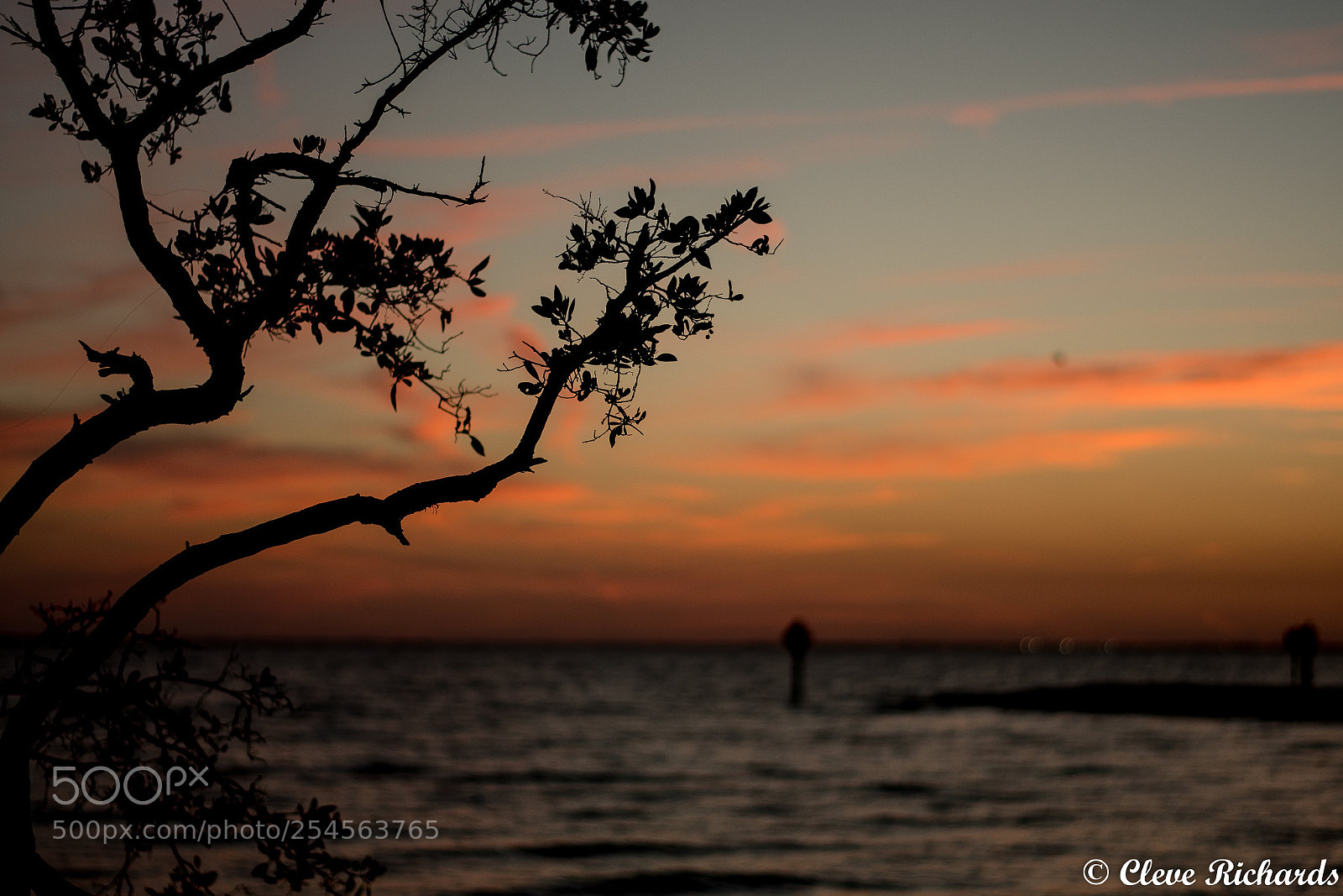 Nikon D500 sample photo. Nature's sunset photography