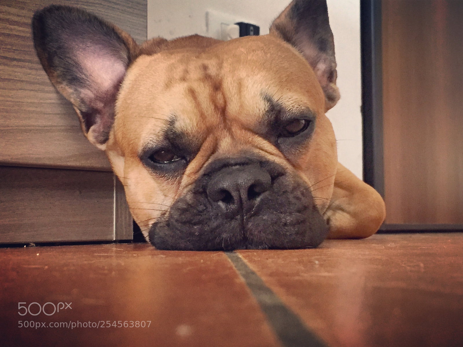 Apple iPhone 6 sample photo. Sleep photography