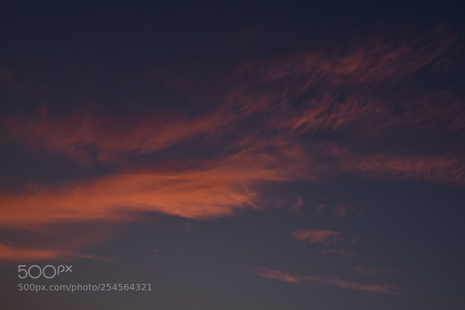 Nikon D5300 sample photo. Colours of nature.. divine!! photography