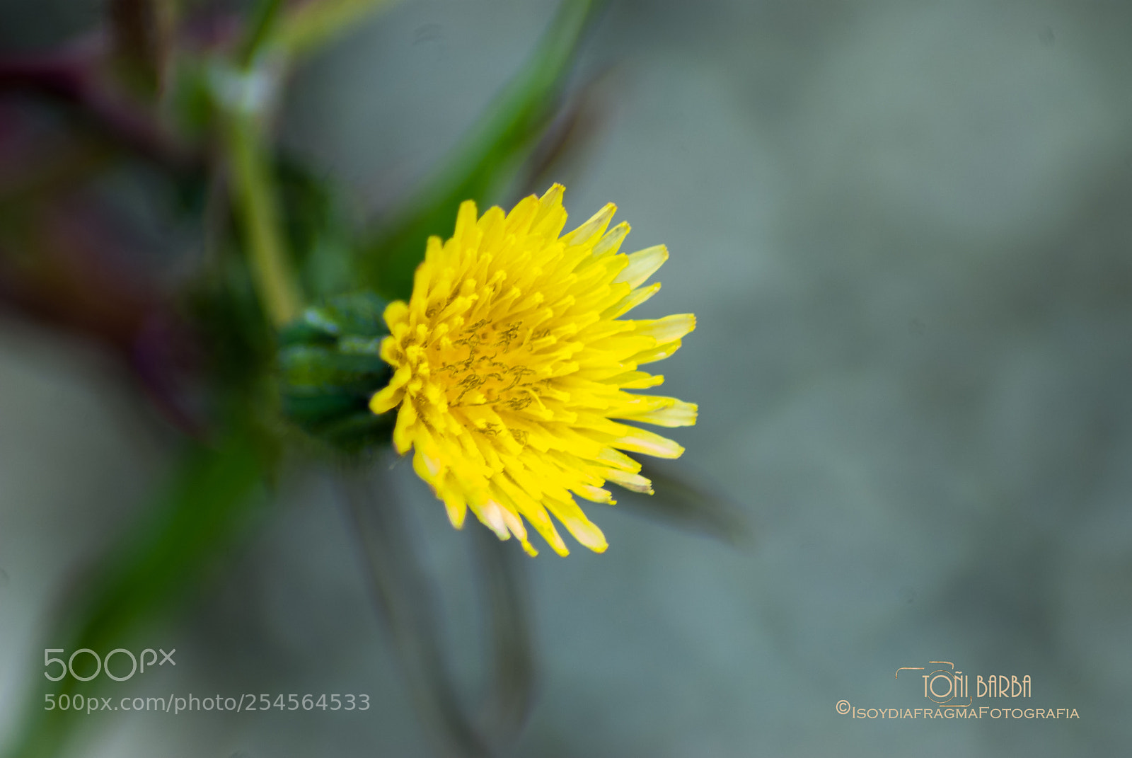 Nikon D80 sample photo. Untitled photography
