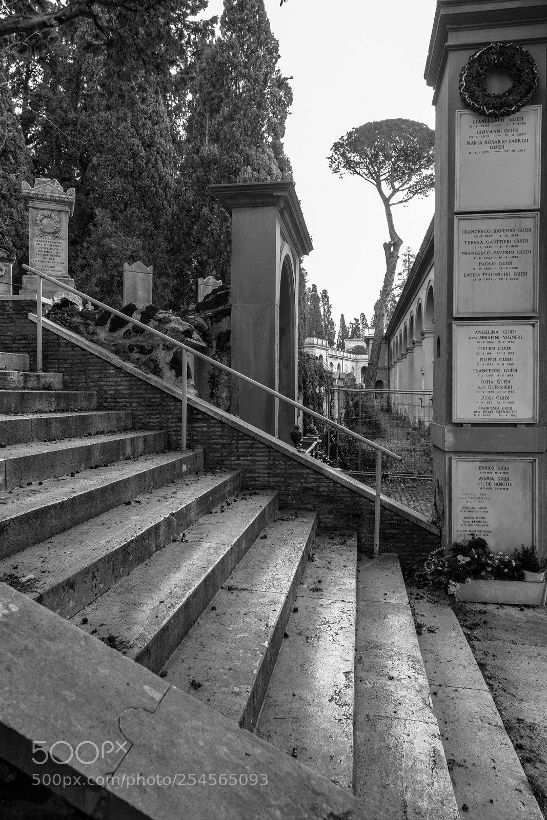 Nikon D5300 sample photo. Steps photography