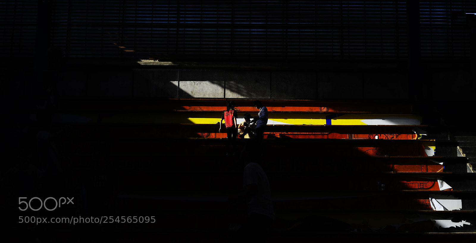 Nikon D610 sample photo. Untitled photography