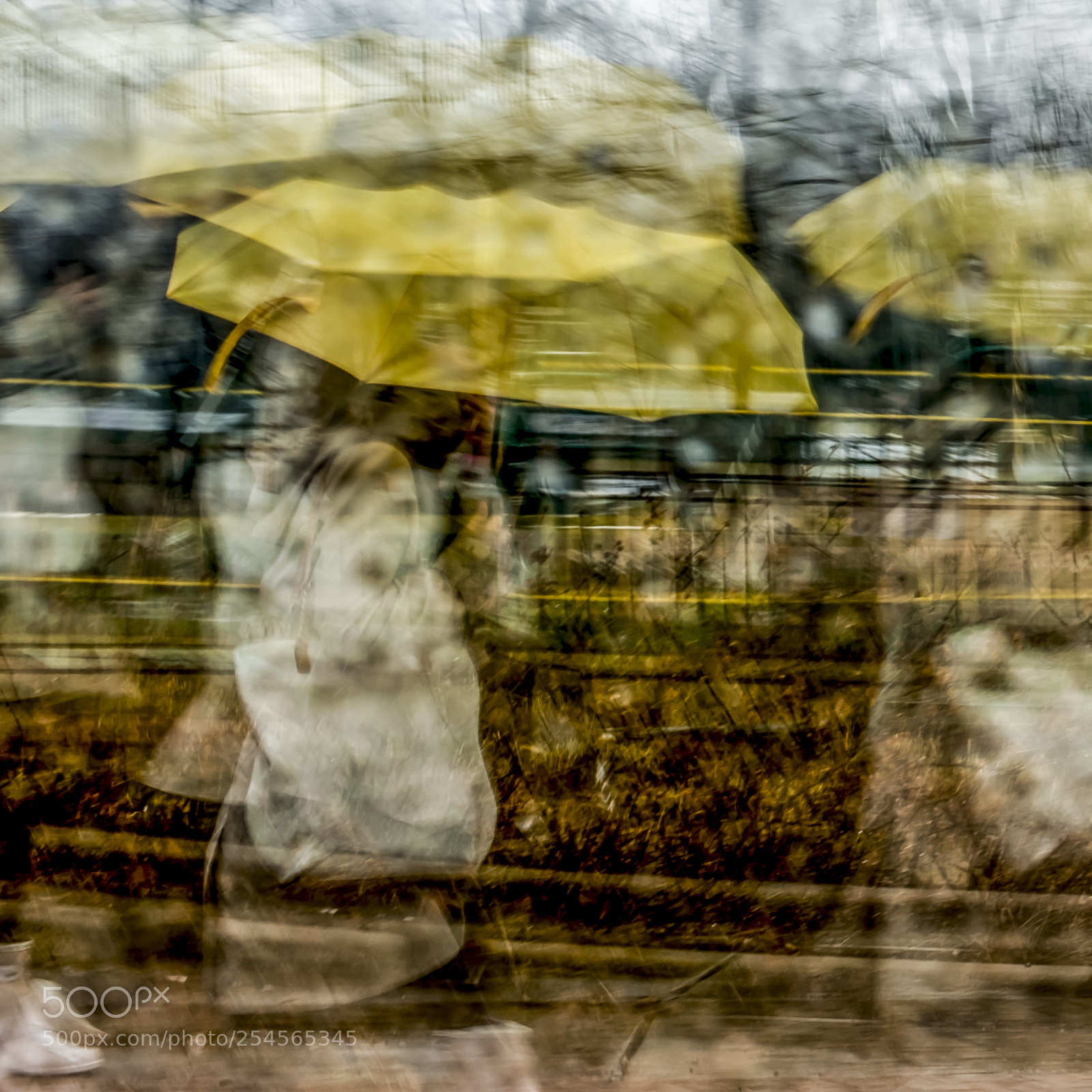Nikon D700 sample photo. Rainy day ne photography