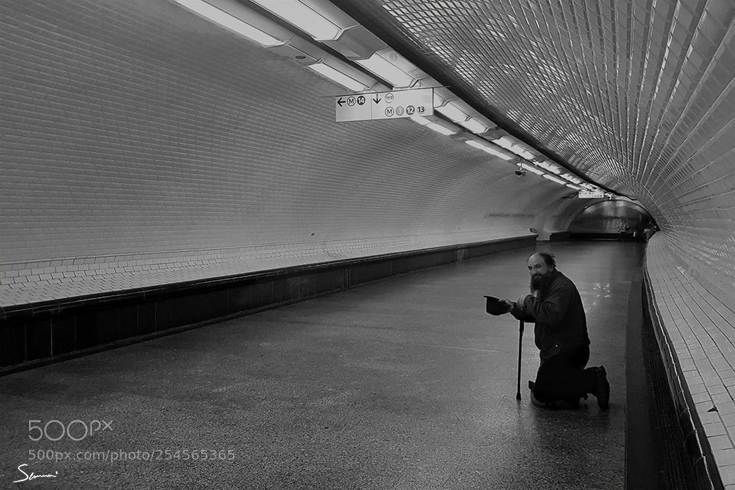 Canon EOS 5D Mark II sample photo. Metro sdf photography
