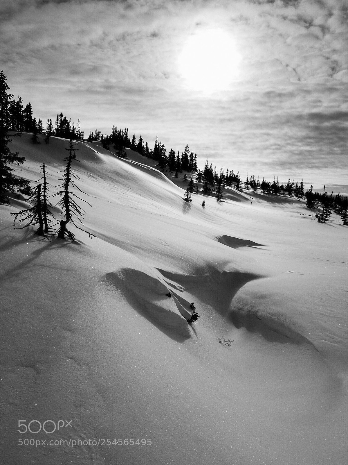 Olympus OM-D E-M5 II sample photo. Snowscape photography