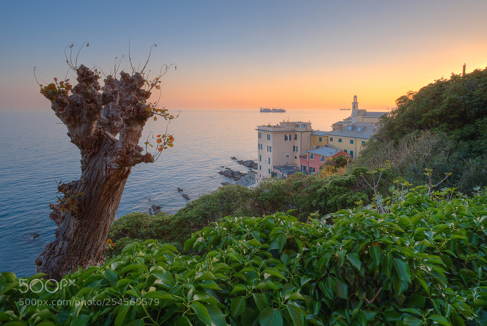 Fujifilm X-T2 sample photo. Boccadasse spring mode photography