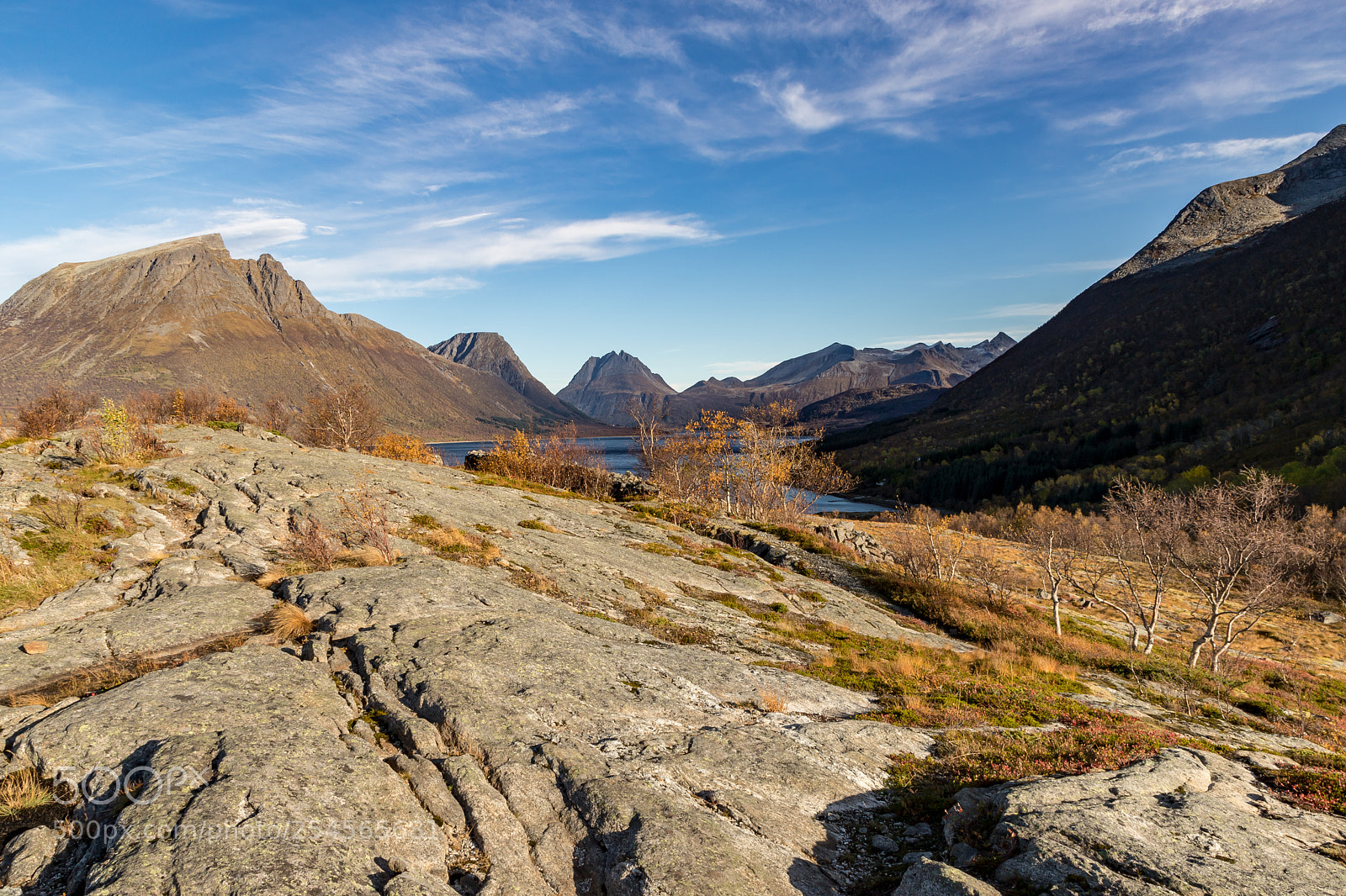 Canon EOS 6D Mark II sample photo. Helgelandskysten in the morning photography